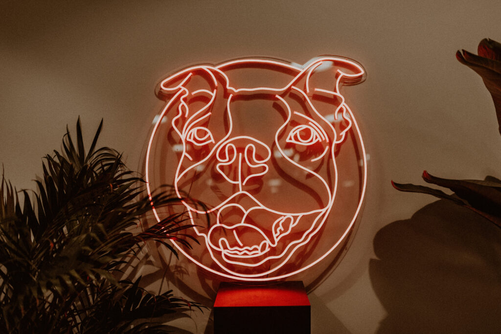 a red neon sign is one example of creative light design